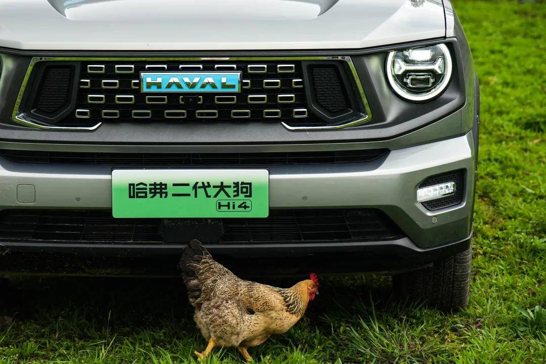 17.98萬,四驅SUV,油耗不到6L!你買不買?