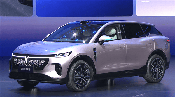 嵐圖知音上市:當“用戶思維”撞上純電SUV紅海