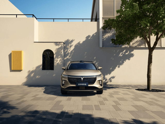 嵐圖知音——滿配戰略重塑20萬級純電SUV市場價值