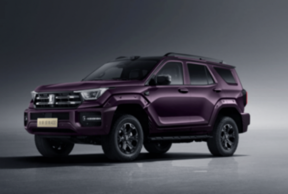 24.98萬元起!全新坦克400上市:更能打了